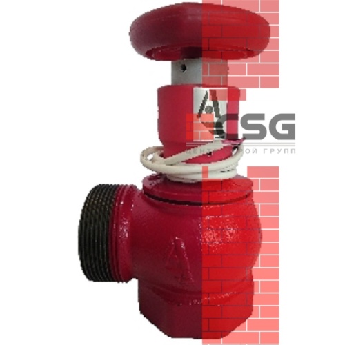 Клапан пожарн чугун угл 90 гр КПЧМ 50-1 Ду 50 1,6 МПа муфта-цапка с датч пол ДППК 24 Апогей 110030, DN 50